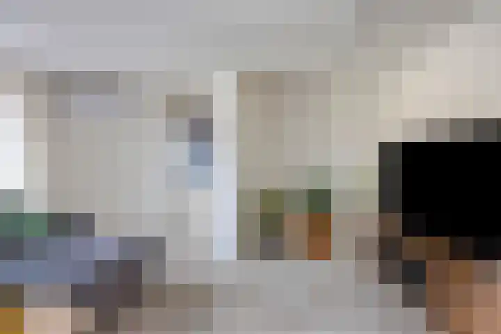 Achtkantmolen 37 Weert thumbnail 11