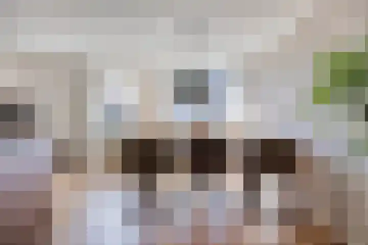 Achtkantmolen 37 Weert thumbnail 14
