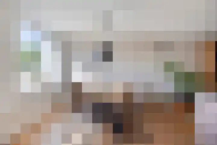 Achtkantmolen 37 Weert thumbnail 16