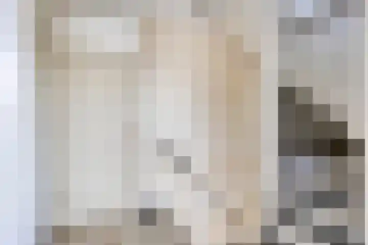 Achtkantmolen 37 Weert thumbnail 27