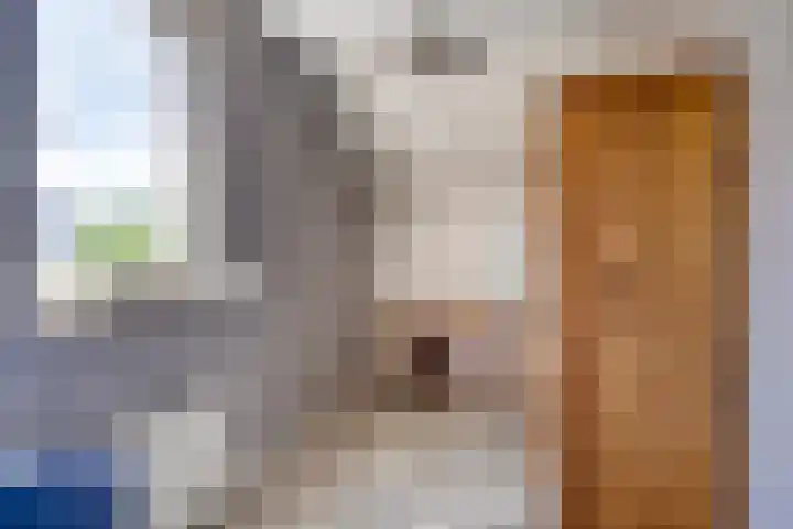 Achtkantmolen 37 Weert thumbnail 35
