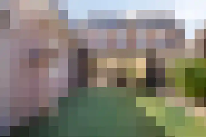 Achtkantmolen 37 Weert thumbnail 45