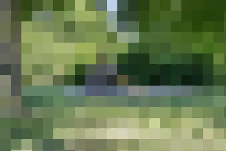 Achtkantmolen 37 Weert thumbnail 49