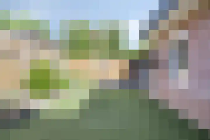 Achtkantmolen 37 Weert thumbnail 5