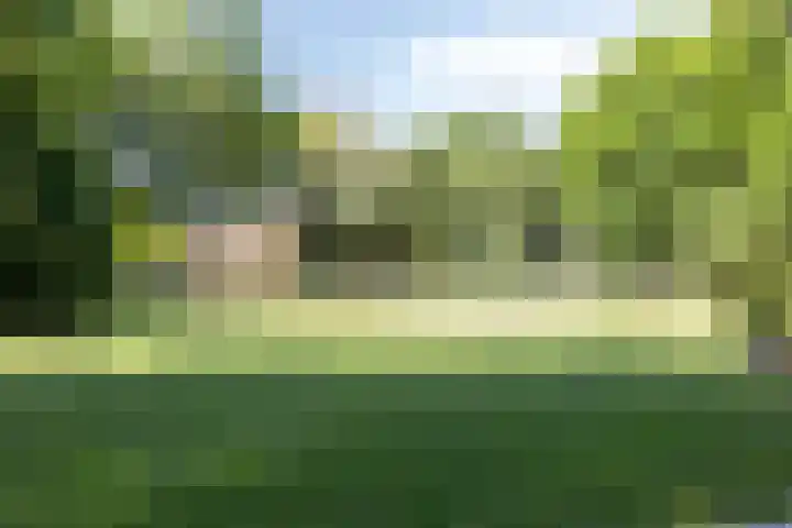 Achtkantmolen 37 Weert thumbnail 50