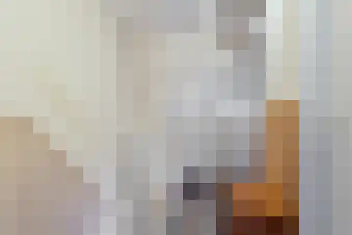 Achtkarspelenstraat 4 Ochten thumbnail 15
