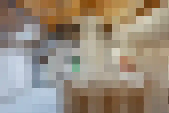 Achtkarspelenstraat 4 Ochten thumbnail 22