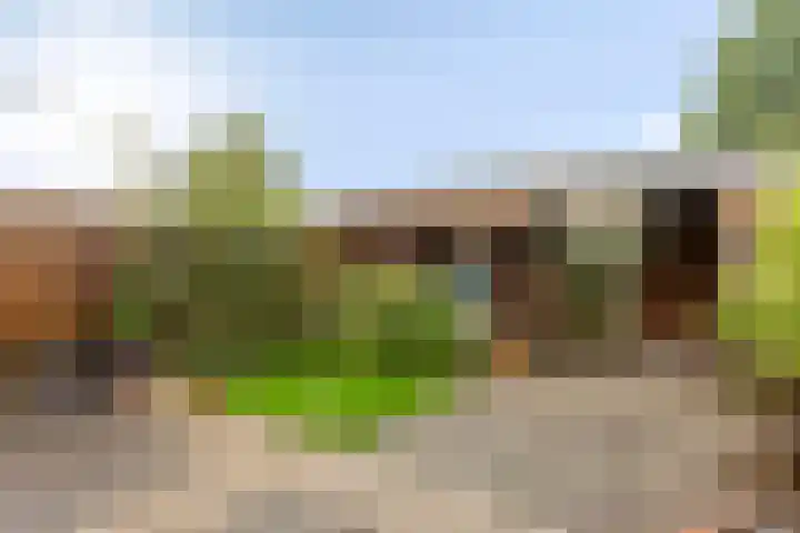 Achtkarspelenstraat 4 Ochten thumbnail 31