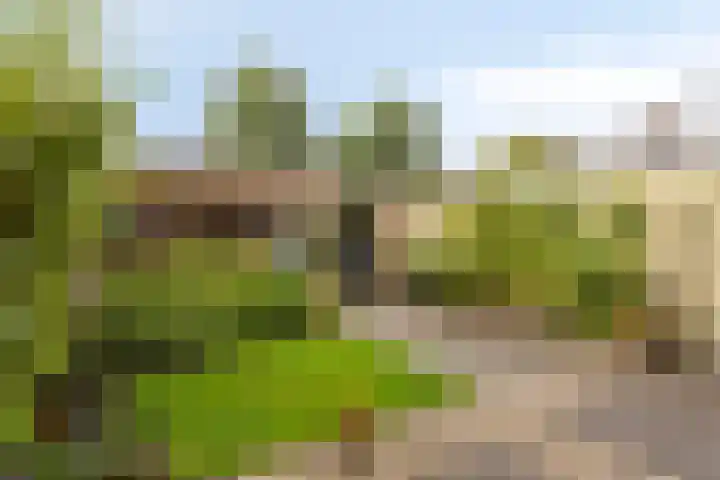 Achtkarspelenstraat 4 Ochten thumbnail 32