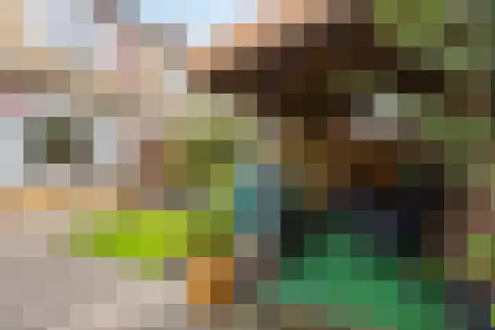 Achtkarspelenstraat 4 Ochten thumbnail 33