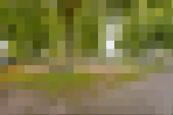 Achtkarspelenstraat 4 Ochten thumbnail 36