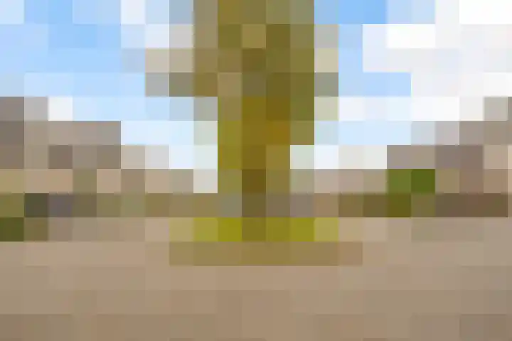 Achtknoop 42 Almere thumbnail 67