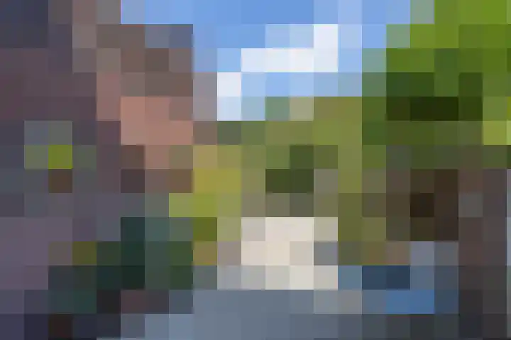 Achtmaalsebaan 29 Schijf thumbnail 31