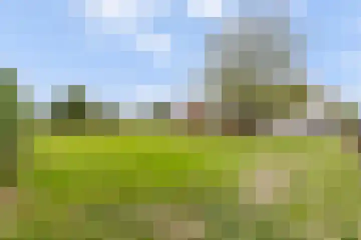 Achtmaalsebaan 57 Schijf thumbnail 31