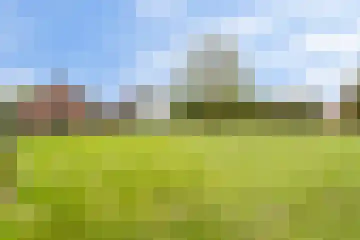 Achtmaalsebaan 57 Schijf thumbnail 32
