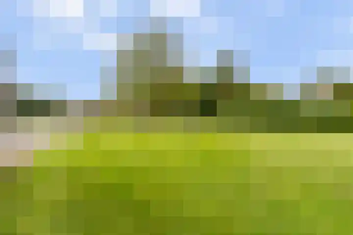 Achtmaalsebaan 57 Schijf thumbnail 34