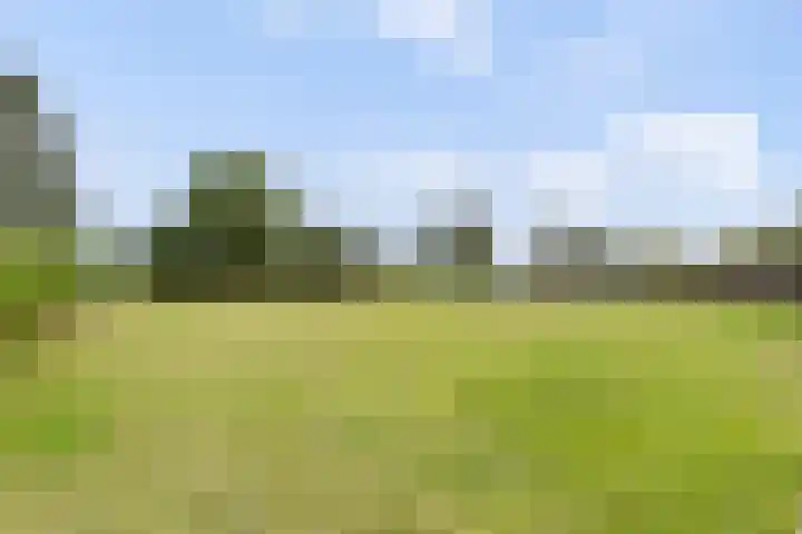 Achtmaalsebaan 57 Schijf thumbnail 35