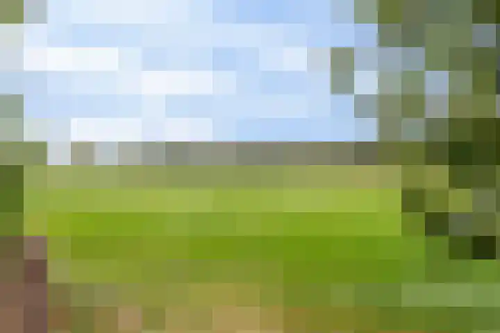 Achtmaalsebaan 57 Schijf thumbnail 36