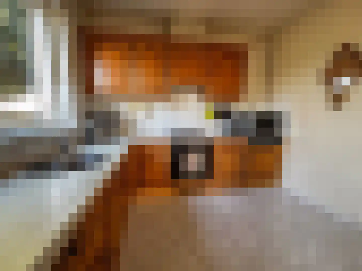 Achtmaalseweg 128 Zundert thumbnail 17