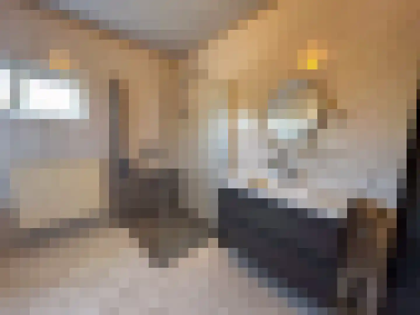 Achtmaalseweg 128 Zundert thumbnail 20