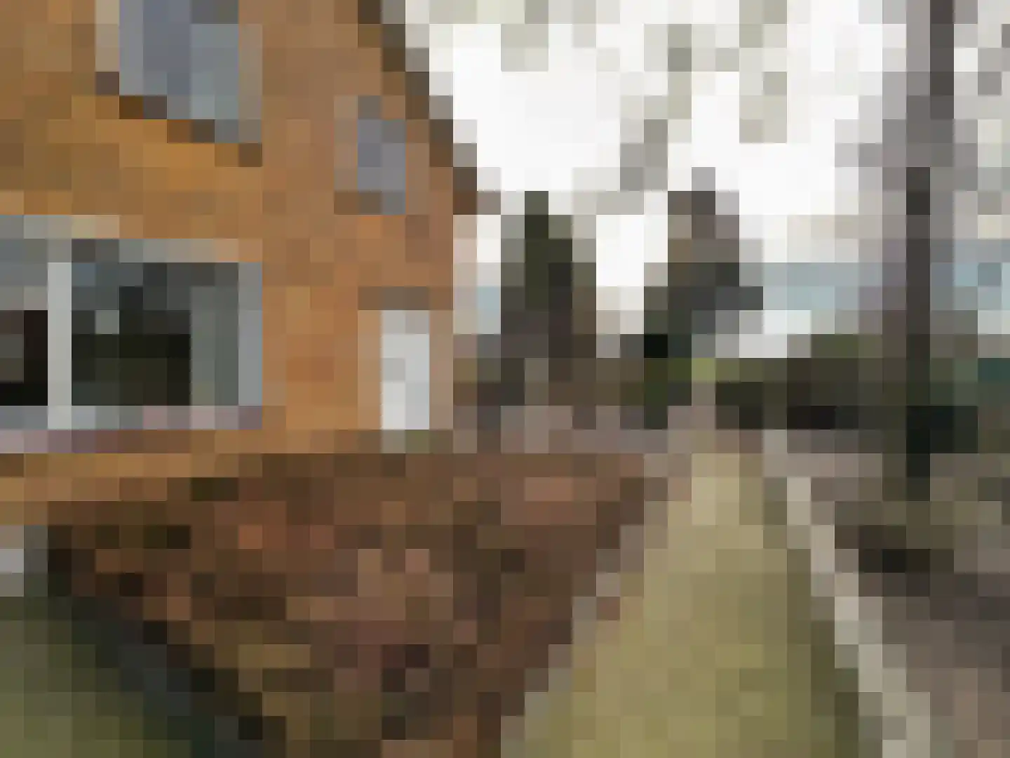 Achtmaalseweg 128 Zundert thumbnail 31