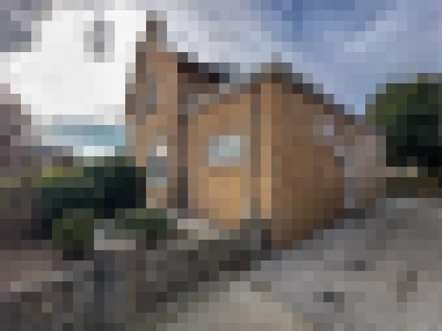 Achtmaalseweg 128 Zundert thumbnail 32