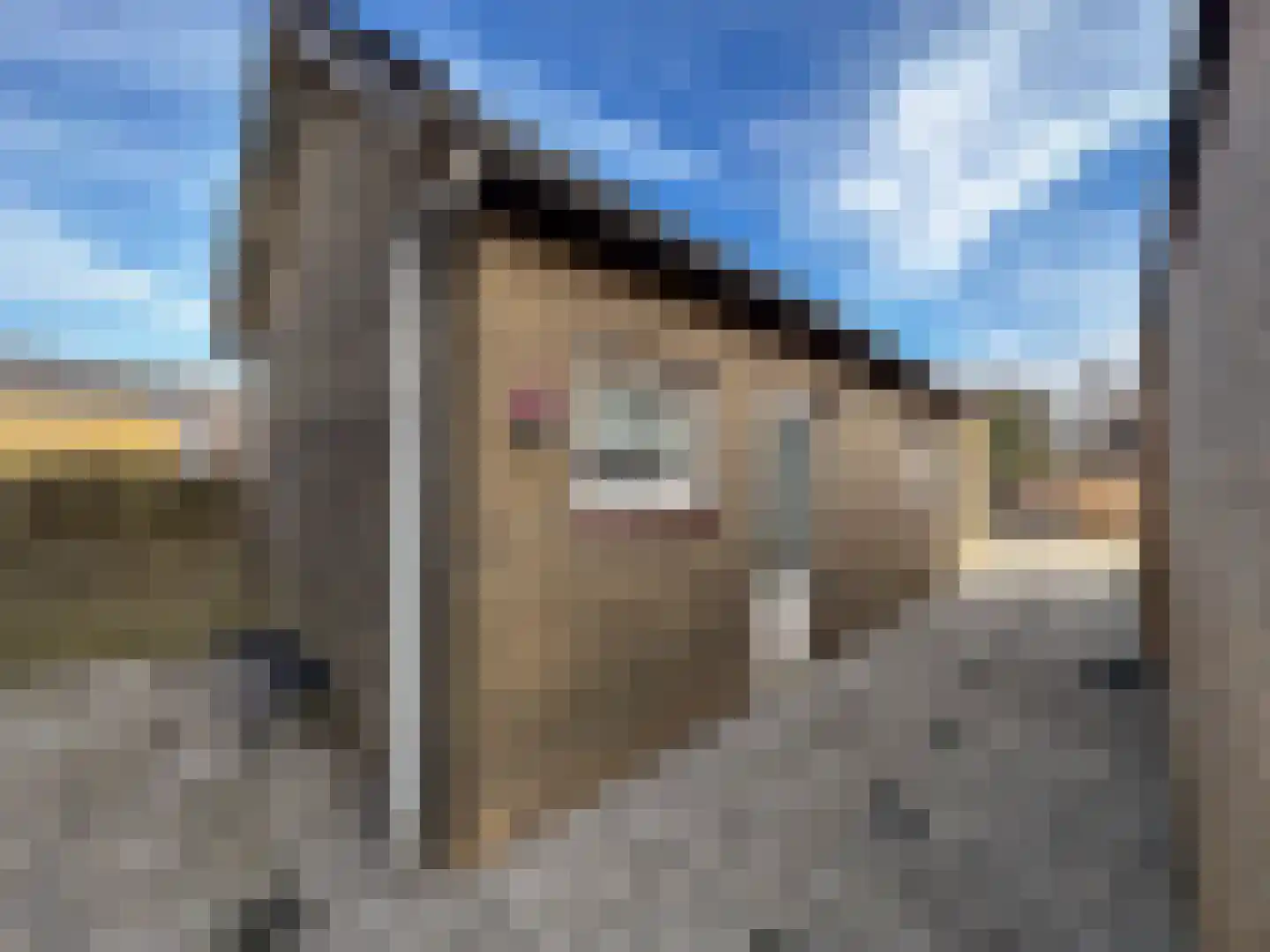 Achtmaalseweg 128 Zundert thumbnail 36