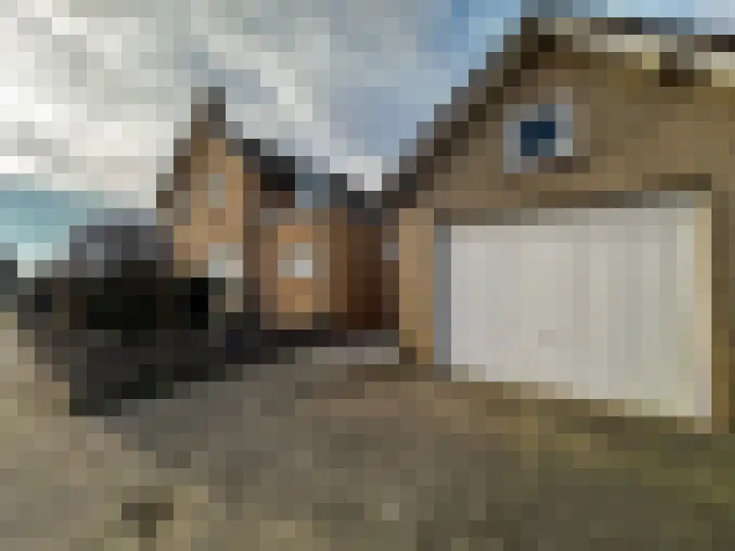 Achtmaalseweg 128 Zundert thumbnail 6