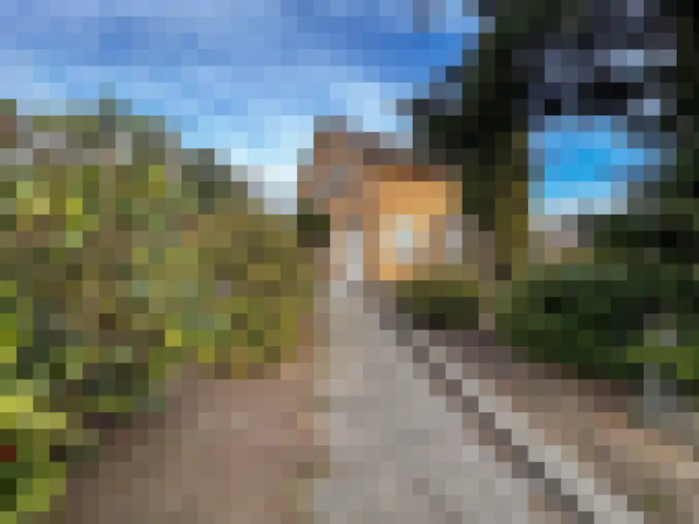 Achtmaalseweg 128 Zundert thumbnail 7