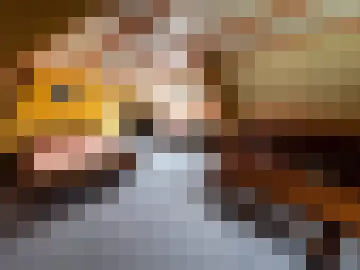 Achtmaalseweg 135 Zundert thumbnail 38