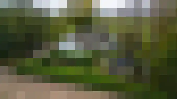 Achtmaalseweg 135 Zundert thumbnail 42