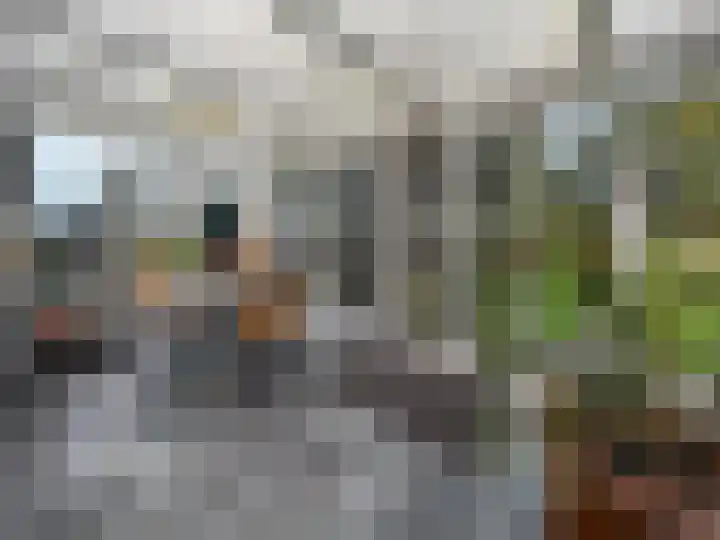 Achtmaalseweg 135 Zundert thumbnail 44