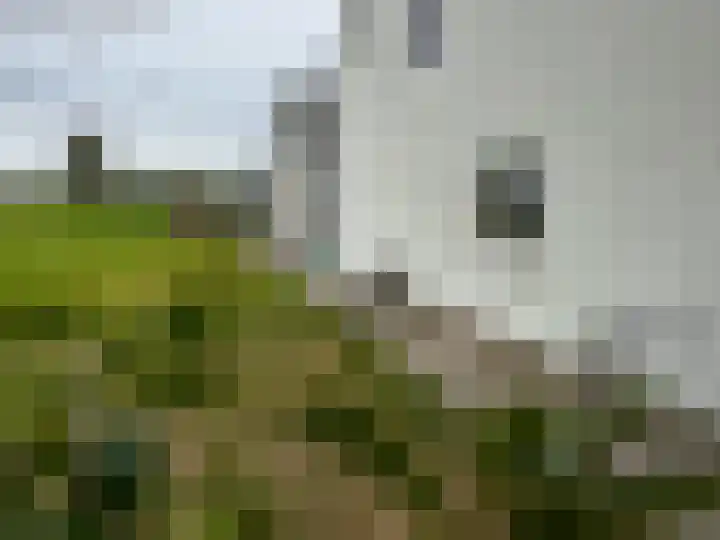 Achtmaalseweg 135 Zundert thumbnail 47