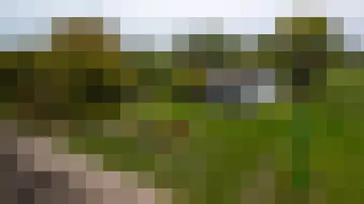 Achtmaalseweg 135 Zundert thumbnail 51