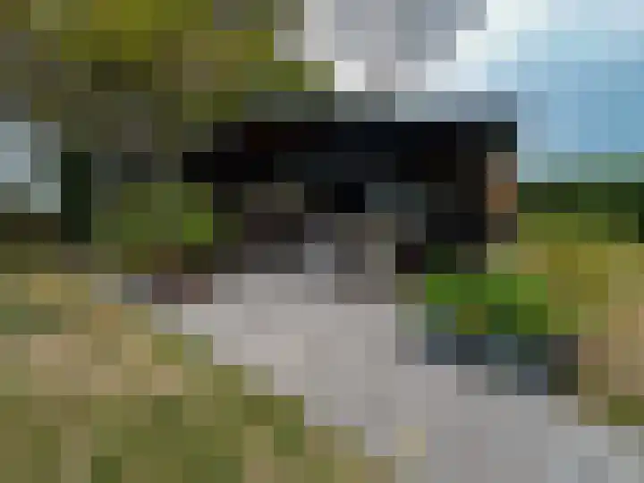 Achtmaalseweg 135 Zundert thumbnail 54