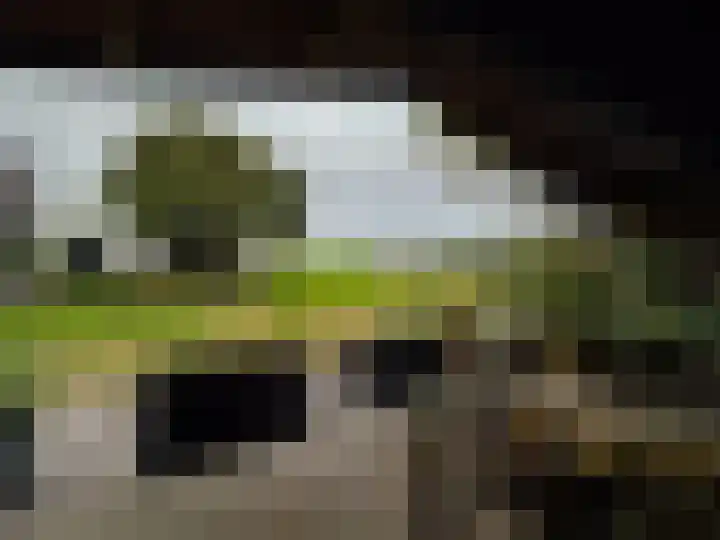 Achtmaalseweg 135 Zundert thumbnail 55