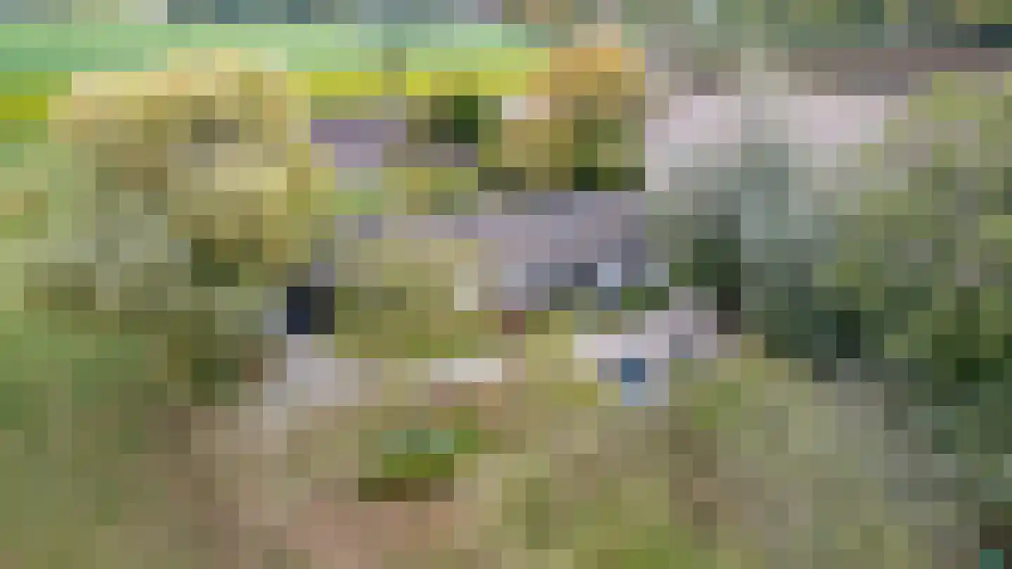 Achtmaalseweg 135 Zundert thumbnail 65