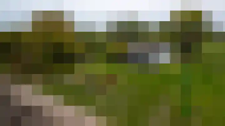Achtmaalseweg 135 Zundert thumbnail 7