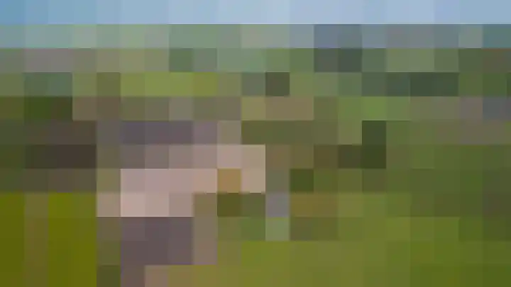 Achtmaalseweg 135 Zundert thumbnail 8