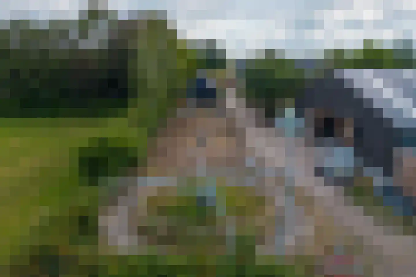 Achtmaalseweg 136 Zundert thumbnail 13