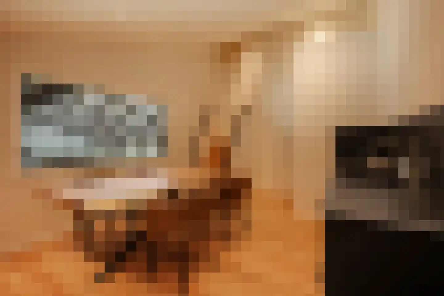 Achtmaalseweg 136 Zundert thumbnail 28