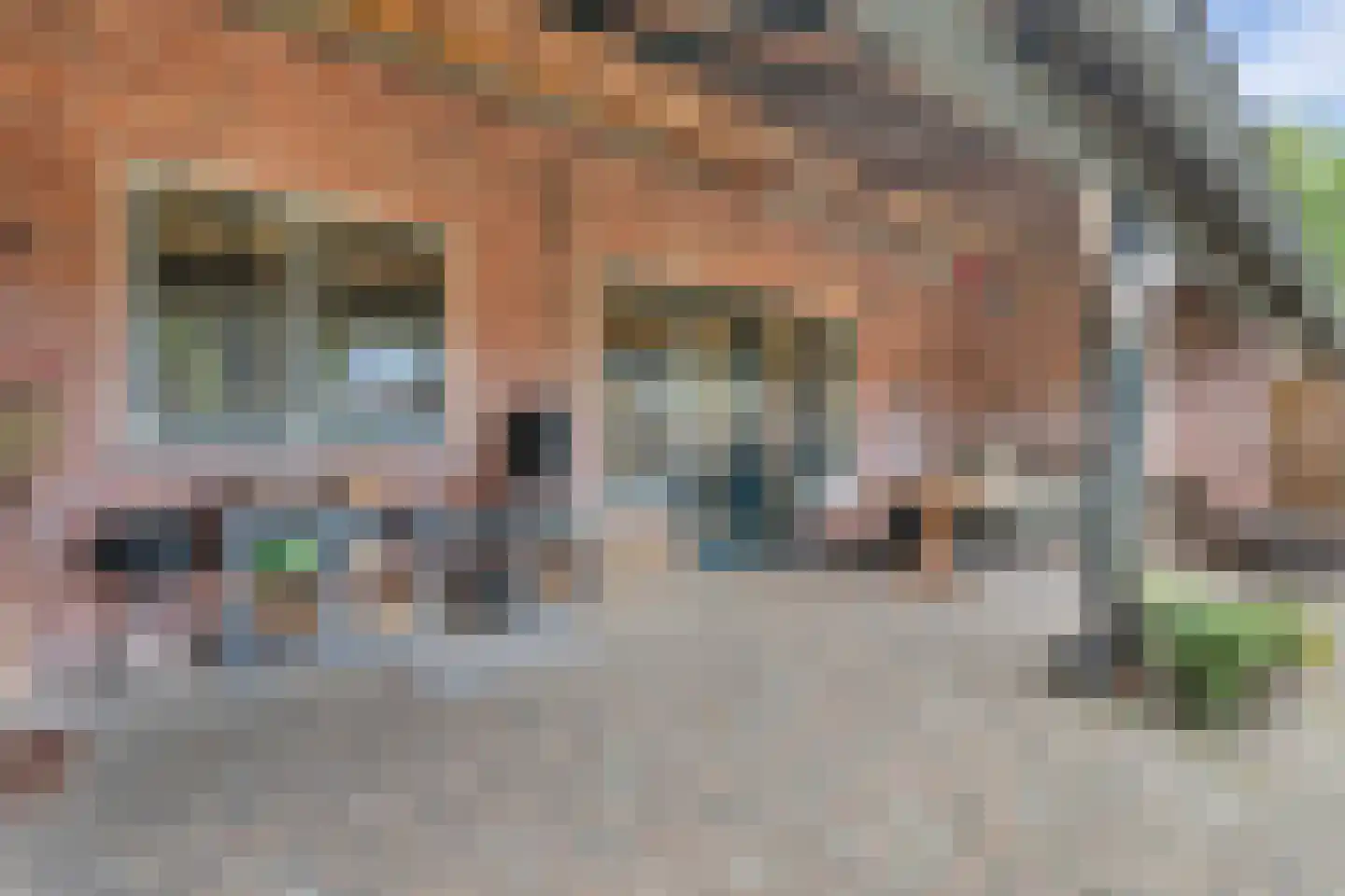 Achtmaalseweg 136 Zundert thumbnail 37