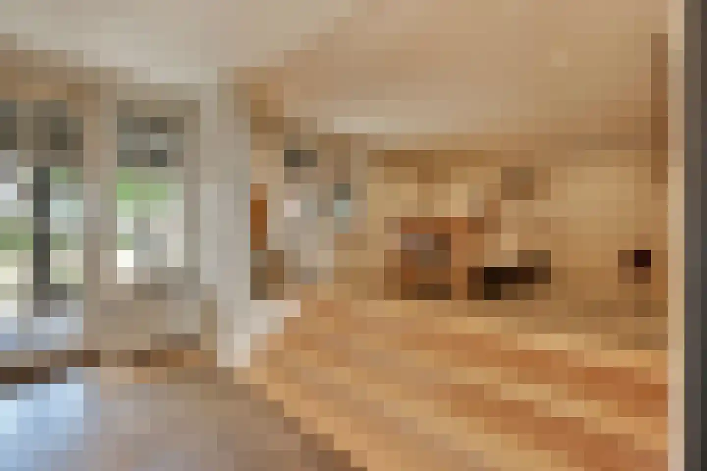 Achtmaalseweg 136 Zundert thumbnail 39