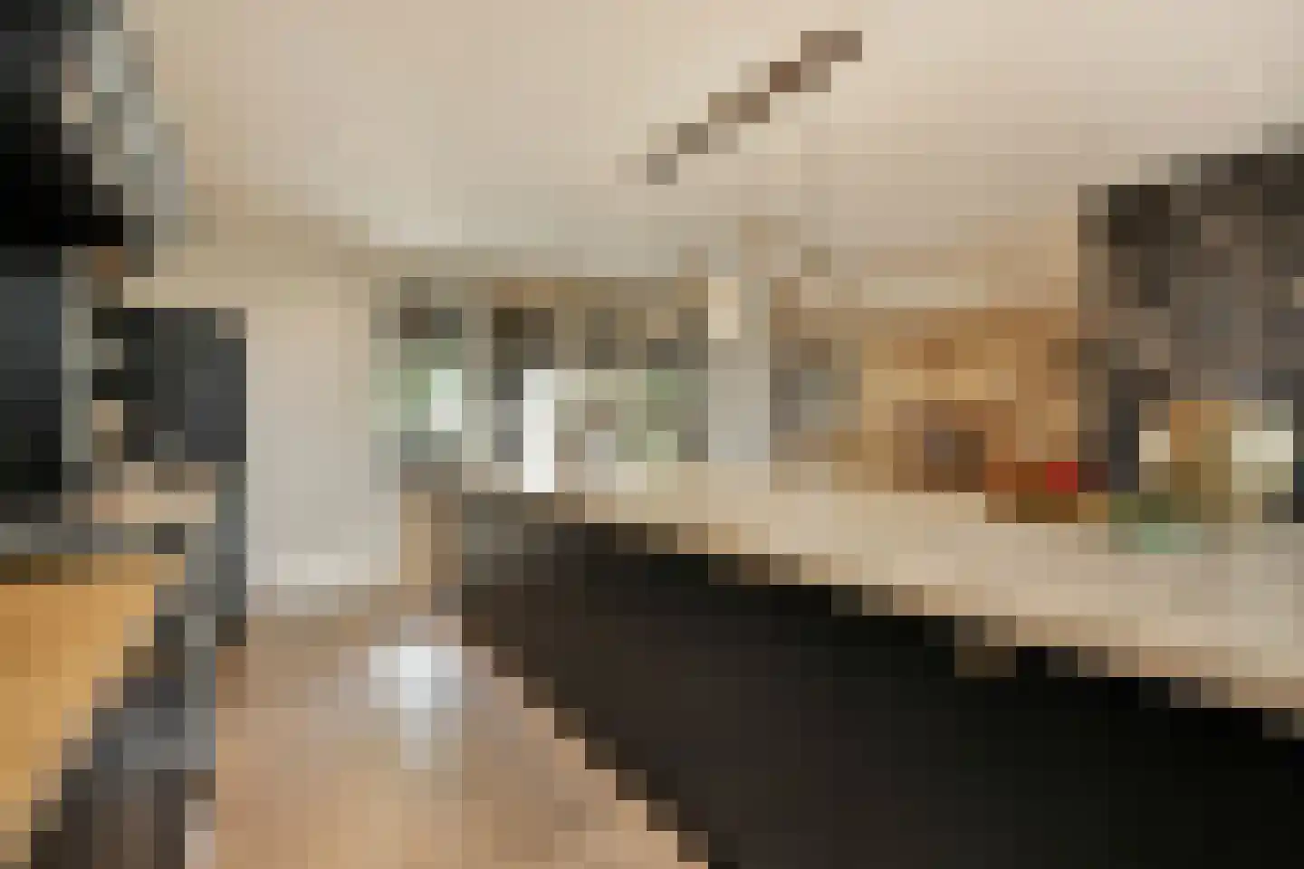 Achtmaalseweg 136 Zundert thumbnail 44