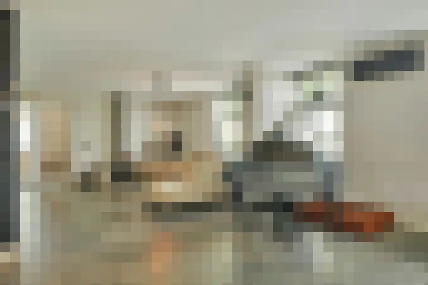 Achtmaalseweg 136 Zundert thumbnail 47