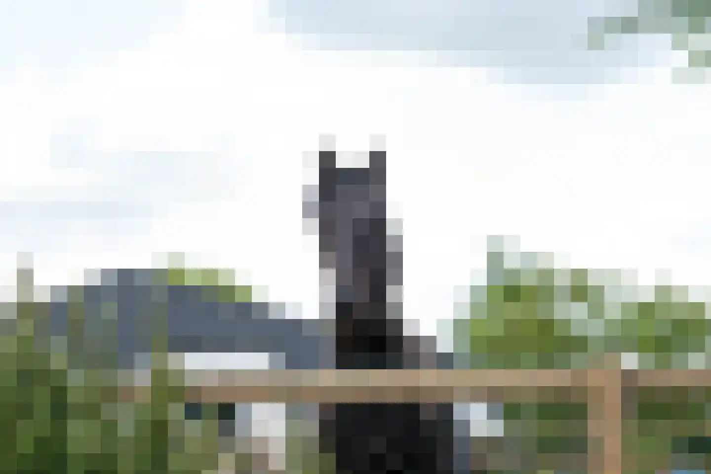 Achtmaalseweg 136 Zundert thumbnail 6