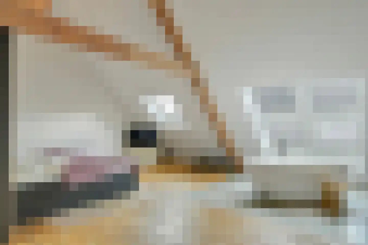 Achtmaalseweg 136 Zundert thumbnail 64