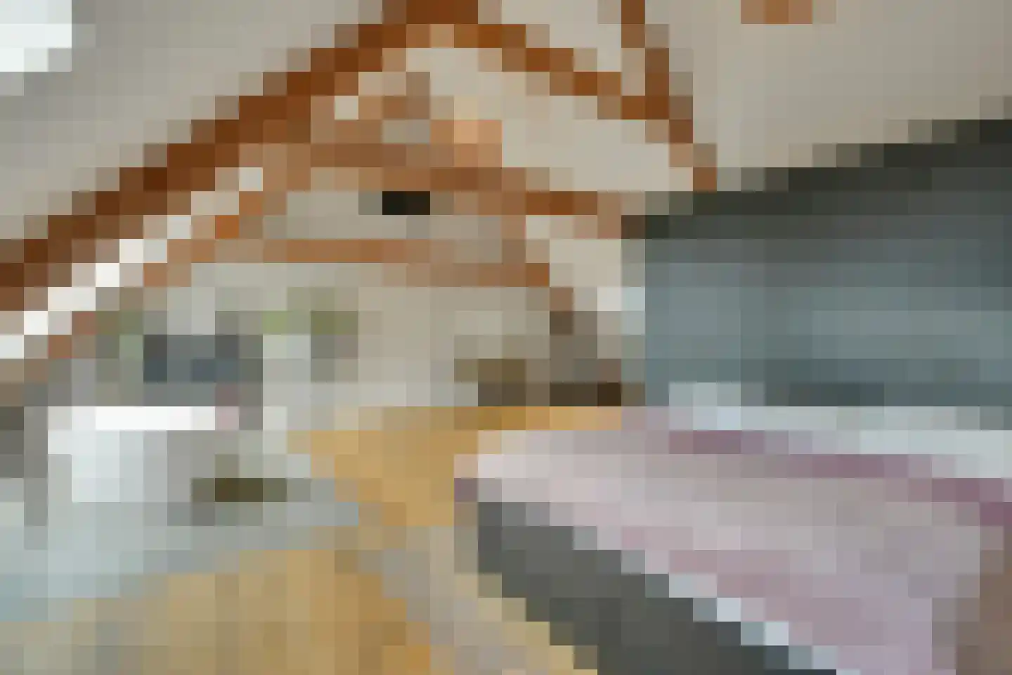 Achtmaalseweg 136 Zundert thumbnail 66