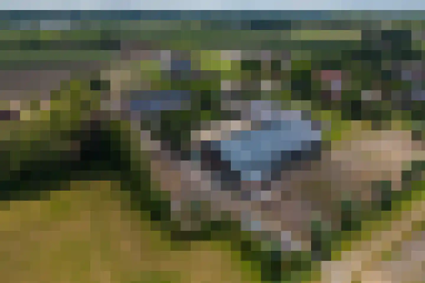 Achtmaalseweg 136 Zundert thumbnail 8