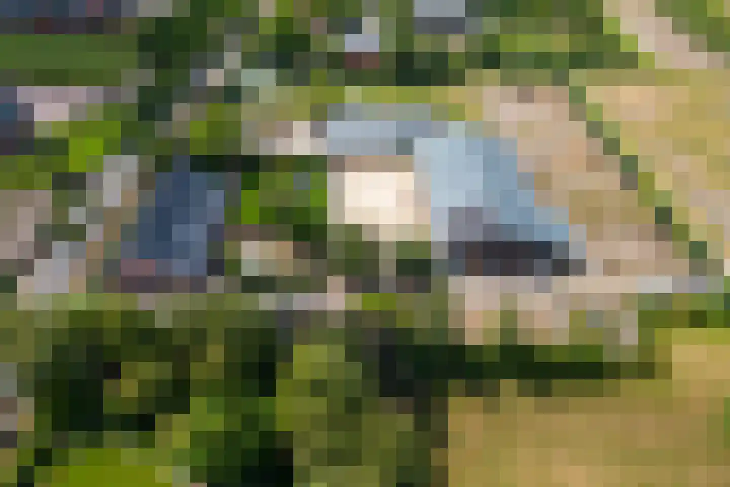 Achtmaalseweg 136 Zundert thumbnail 9